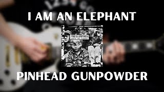 Pinhead Gunpowder - I Am An Elephant (Guitar Cover)