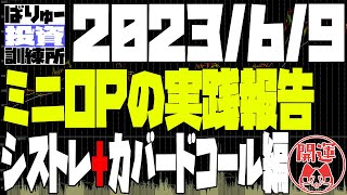225先物のシストレ（買い専門）とカバードコール（コール売り）合わせる戦略を開始した、のお話