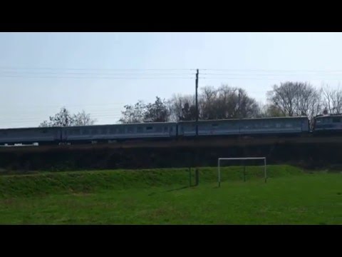 TLK Bolko Strzelce Opolskie