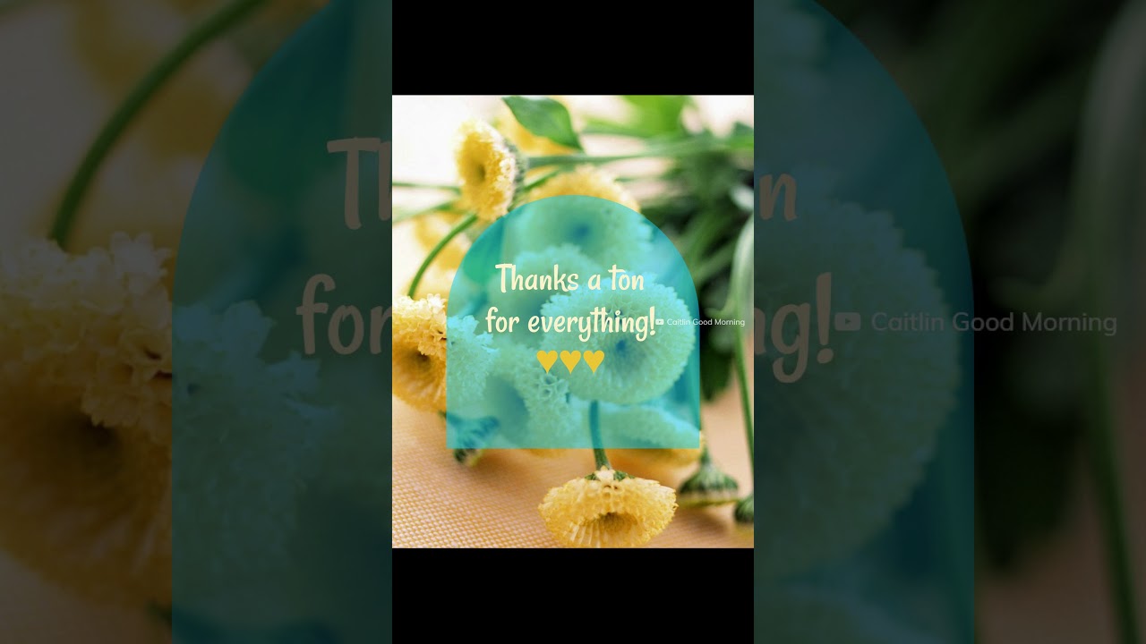 #celana pendek #catatan terima kasih #terima kasih Pesan Terima Kasih, Catatan Terima Kasih, Ucapan dan Kutipan | Musim 3