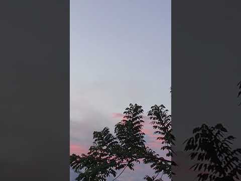 AMANECER EN CAREPA, URABÁ 🙏 El Cielo Habla y Silvestre Canta "Tengo un Dios"