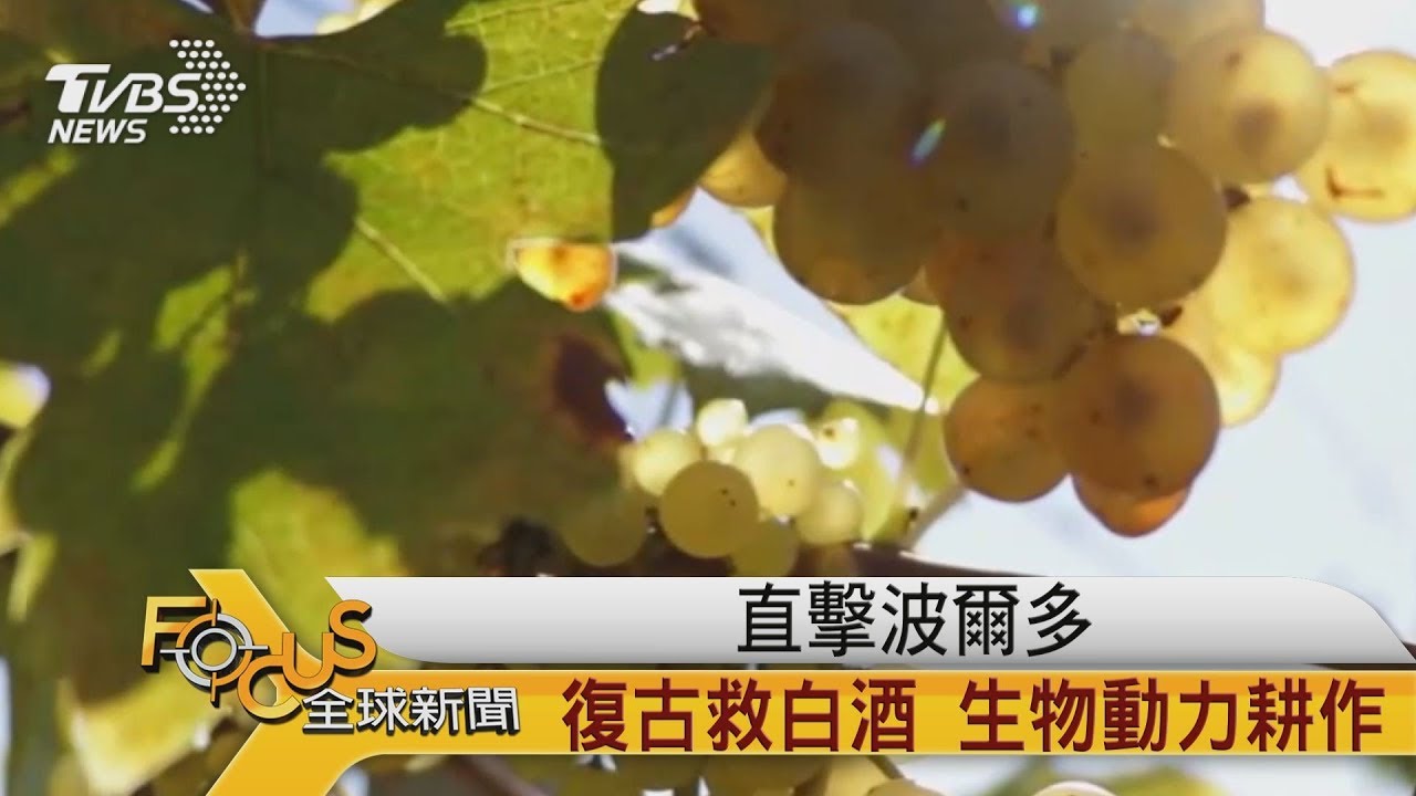 直擊波爾多!復古救白酒.生物動力耕作