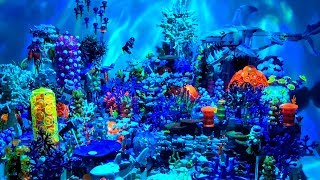 Marine Biologist Creates Amazing LEGO Coral Reef by Beyond the Brick