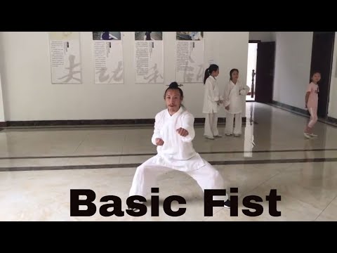 Wudang Kung Fu Academy - Basic Fist by Master Zheng