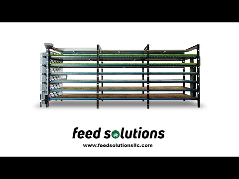download lagu mp3 mp4 Feed Solutions, download lagu Feed Solutions gratis, unduh video klip Feed Solutions