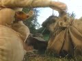 Kidsongs The Australian Swagman Dreams