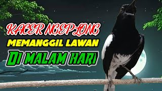 Download lagu TERAPI KACER NGEPLONG MEMANGGIL LAWAN DI MALAM HARI AGAR LEKAS NYAUT AMPUH BUNYI GACOR mp3