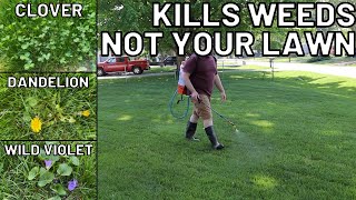 How To Kill Weeds WITHOUT Killing your Grass: Clover, Creeping Charlie