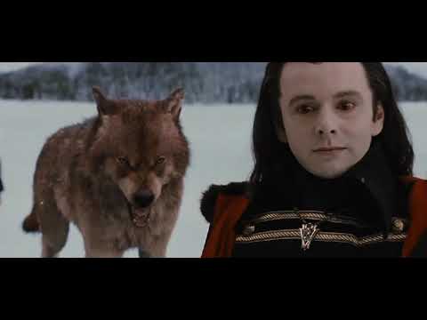 Twilight wolves ~Satisfya