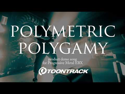 "Polymetric Polygamy" - TOONTRACK demo song