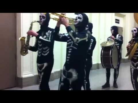 black bear combo skeleton band - halloween at the field museum