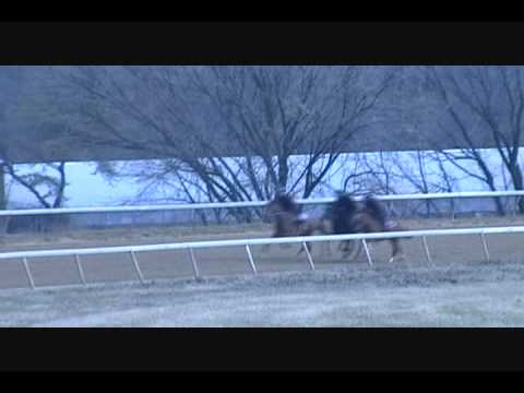 Sometimes Not and Monarchos Fan first week