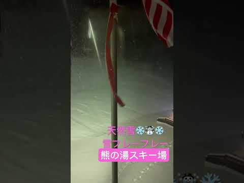 天然雪❄️☃️❄️雪フレーフレー　#志賀高原 #熊の湯スキー場 #shigakogen #kumanoyu #熊雪