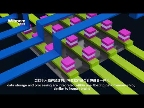 computing in memory with Witmem