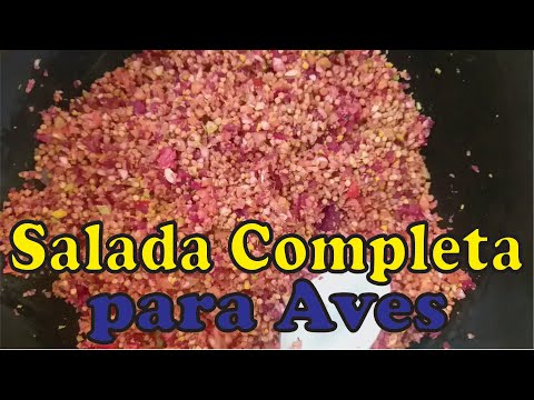 , title : 'Salada Completa para Aves'