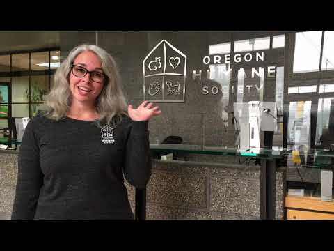 Oregon Humane Society  New Adoption Process