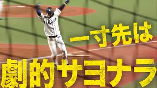 [分享] 羅德今日再見「中職風格」失誤