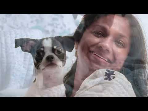 Happy First Birthday Mochi. 🥳🐶❤️