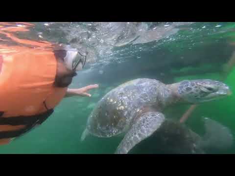 PLAYA LOS ÓRGANOS- Los Órganos, en la provincia de Talara, departamento de Piura, Perú.