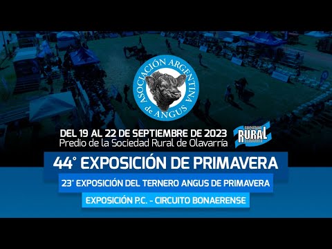 EXPO ANGUS 2023 - 44° Exposición Nacional Angus de Primavera