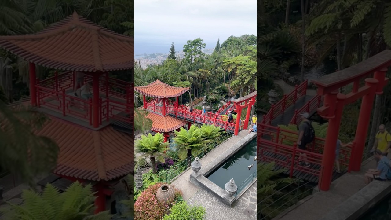 YouTube Short thumbnail