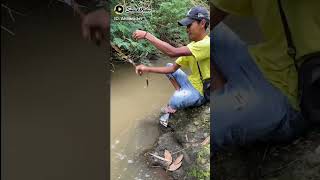 Download lagu mancing ikan nilem di kali air keruh mp3