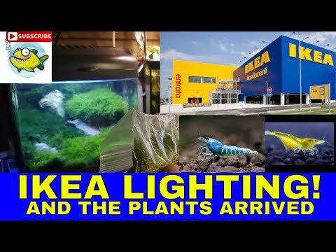 AQUARIUM IKEA LIGHTS !!!!