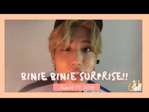 [Older Stray Kids Live] 180811 Binie Binie Surprise!!