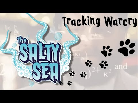 Tracking the Warcry Meta