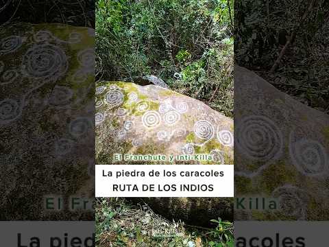 La piedra con caracoles - RUTA DE LOS INDIOS