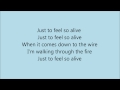 Feel So Alive by Down With Webster lyrics 