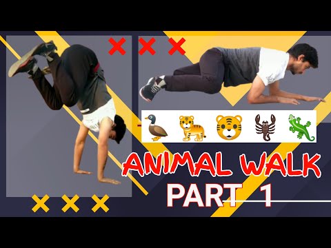 ANIMAL WALK PART 1 | ANIMAL MOVEMENT | MARTIAL PRATYAKSH
