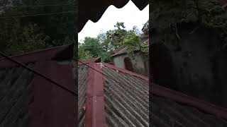 Download lagu Bheegi Huyee Hai Raat (With Jhankar Beats) mp3 Download lagu Bheegi Huyee Hai Raat (With Jhankar Beats) mp3