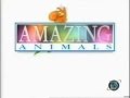 Amazing Animals Opening Ending Discovery Kids 1996 2000