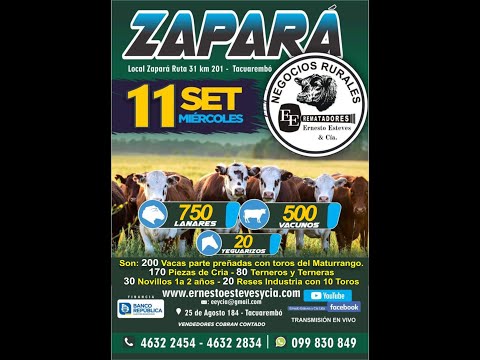 Remata Ernesto Esteves y Cia - Local Zapará Tacuarembó // 11 de Septiembre 2024