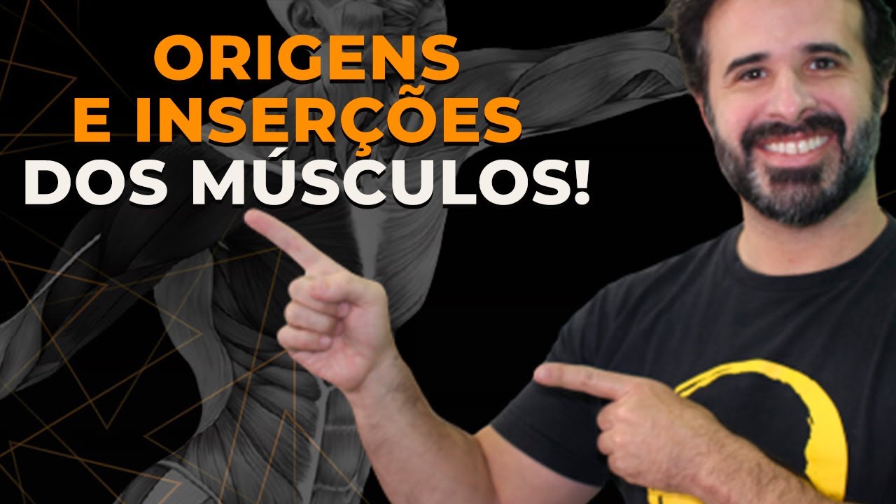 É ASSIM QUE SE APRENDE ORIGENS E INSERÇÕES DOS MÚSCULOS!