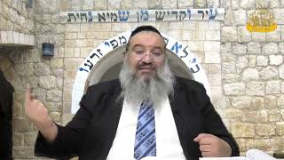 פניני הזוהר על הפרשה עם הרב רחמים נמני | פרשת ויגש