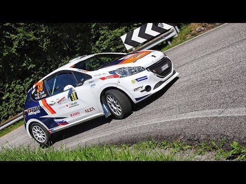 52. Rally Friuli Venezia Giulia 2016 | Best onboard moments | R. Turk - M. Lazar (Peugeot 208 R2)