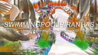 Swimmingpool Piranhas / The Wrong - New Digital Art Biennale