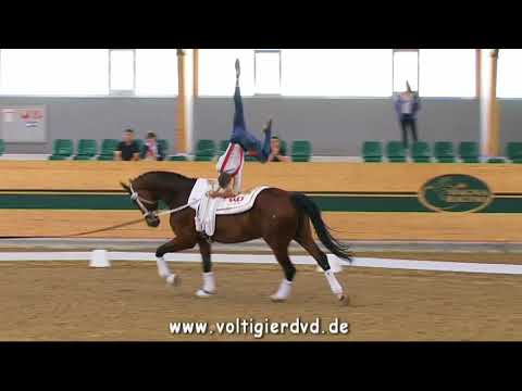 Jannik Liersch (GER) - CVIJ2 Male 08 - CVI Ebreichsdorf 2017