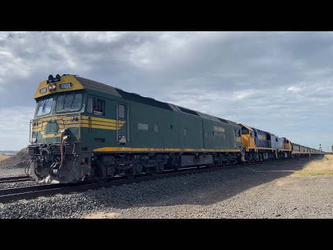 7733V Pacific National Grain with G520 (FA) XR559 and X48 arriving at Gheringhap loop 16/4/2025