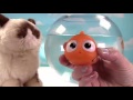 Disney Finding Dory Toy Surprise Boxes Swimming Dory Nemo Marlin Mashems