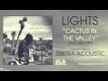 Lights - Cactus In The Valley (Feat. Owl City ...