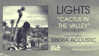 Lights - Cactus In The Valley (Feat. Owl City)
