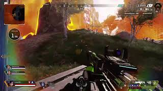 毎日APEX 41日ソロロ