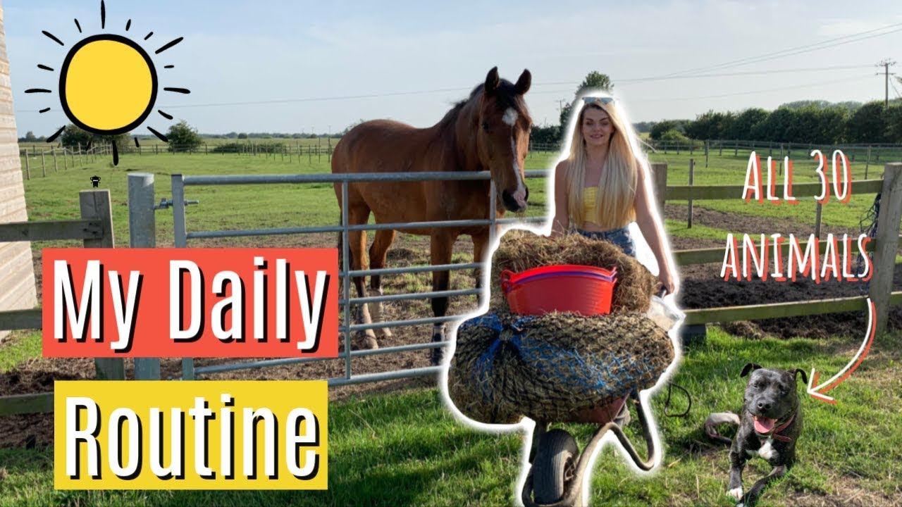My Daily Routine | Caring For All 30 Animals | Lilpetchannel
