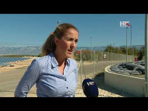 Cromaris preživio potop