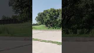  Residential Plot for Sale in Pratappur, Kashipur