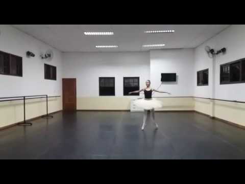 Harlequinade - Luiza Falcão