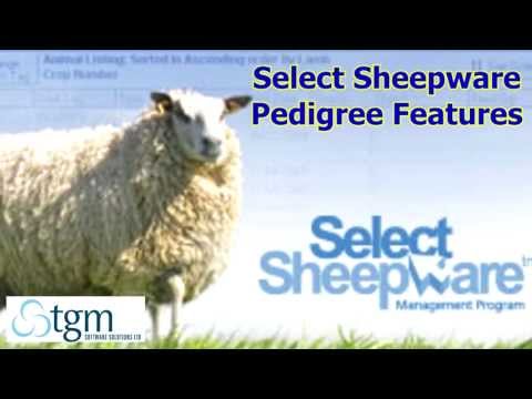 , title : 'Select Sheepware Pedigree Features - A Select Sheepware Tutorial'